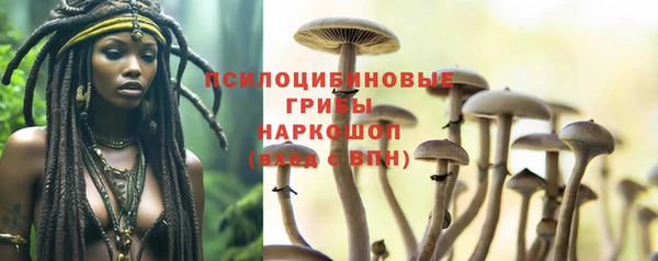 первитин Арсеньев