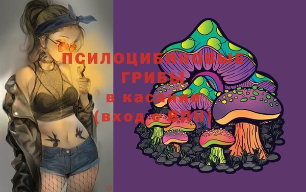 первитин Арсеньев