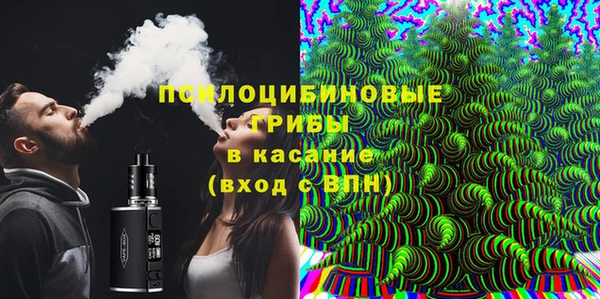 винт Аркадак