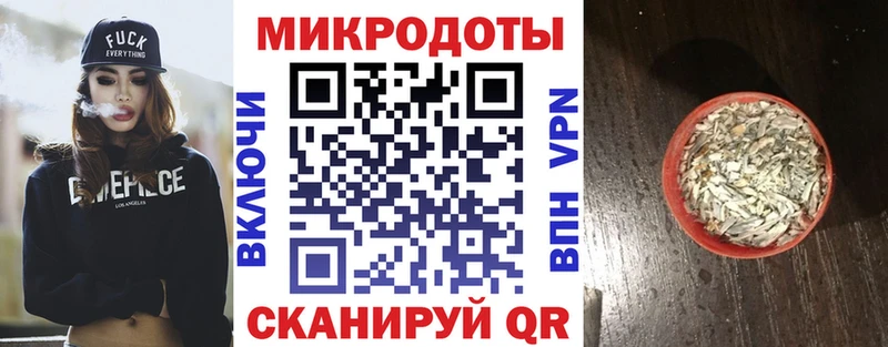 Псилоцибиновые грибы Psilocybine cubensis  Новосокольники 