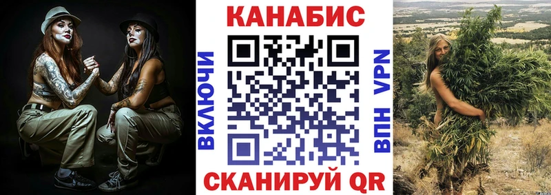 как найти Новосокольники Шишки марихуана конопля